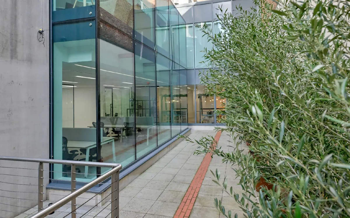 External terrace with planting beside the glazed facade