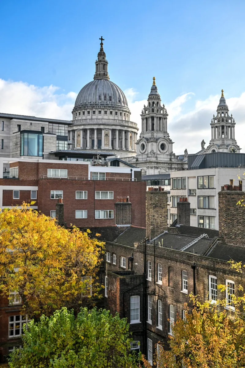 St Paul's Cathedral and autumn trees seen from the City
